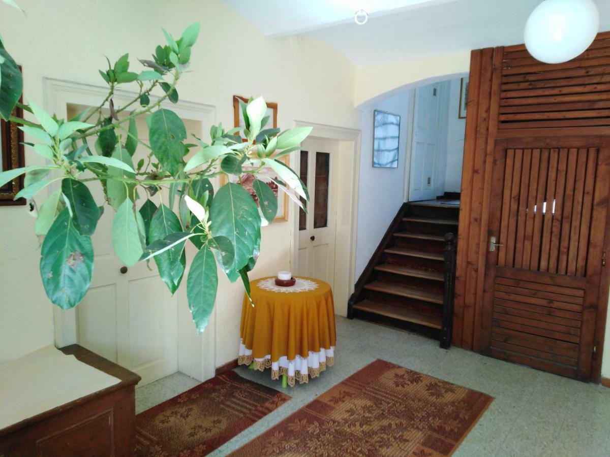 Apartments Banko Bled Dış mekan fotoğraf